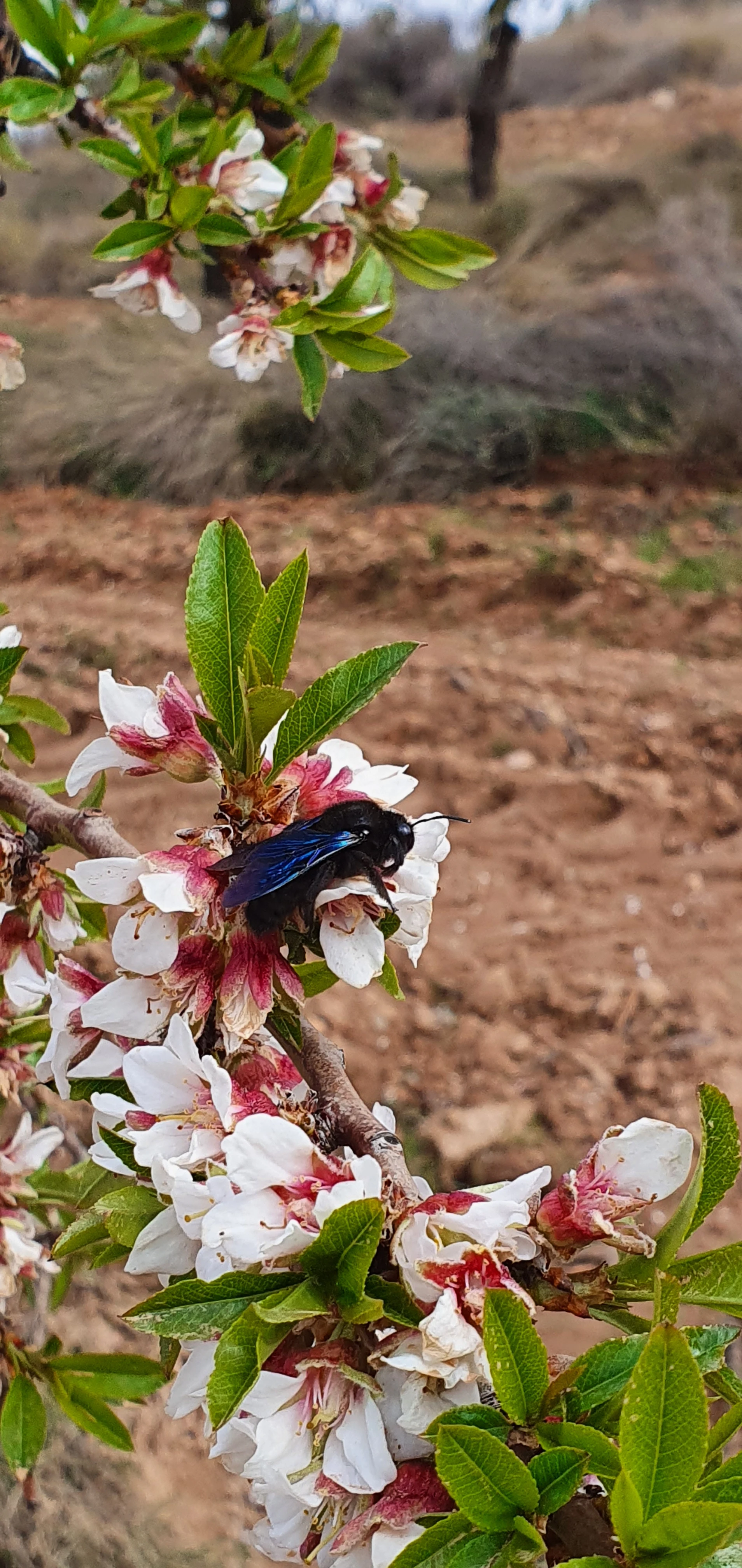 Nalda en autocaravana (La Rioja)