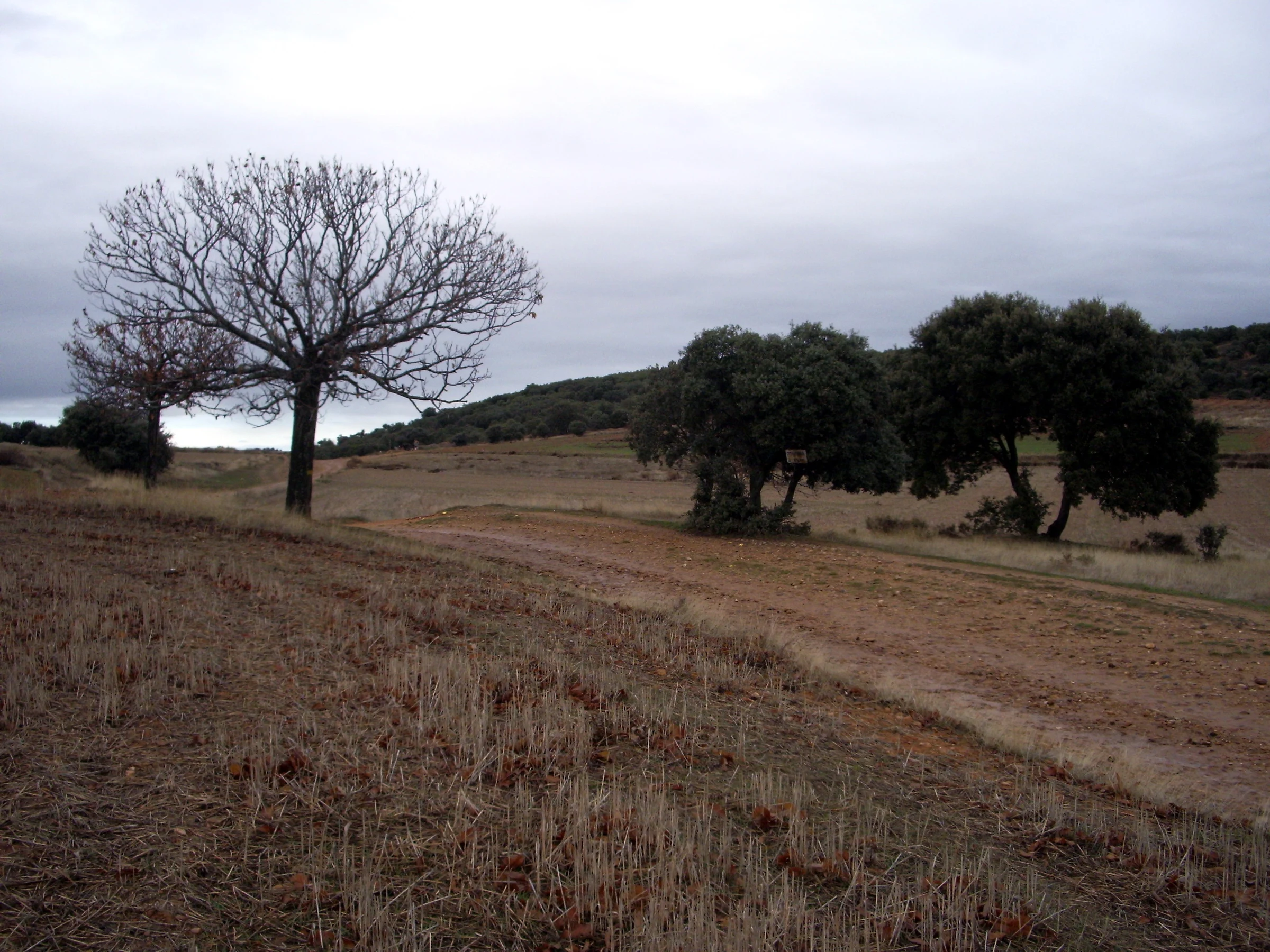 Villares de Órbigo en autocaravana (León)