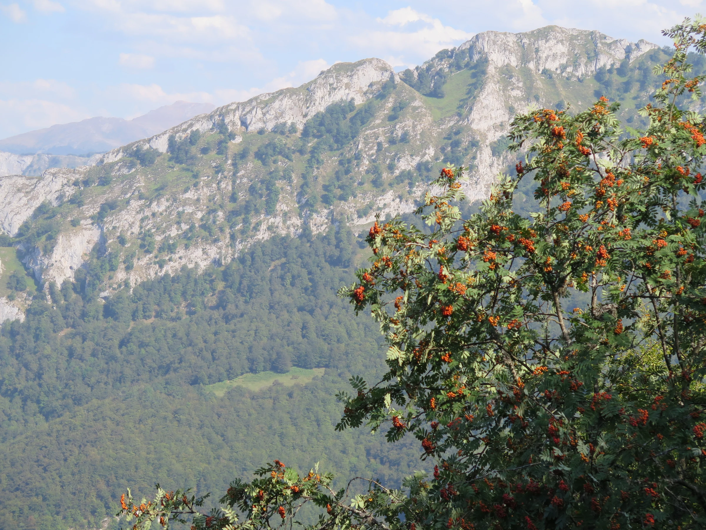 Ponga en autocaravana (Asturias)
