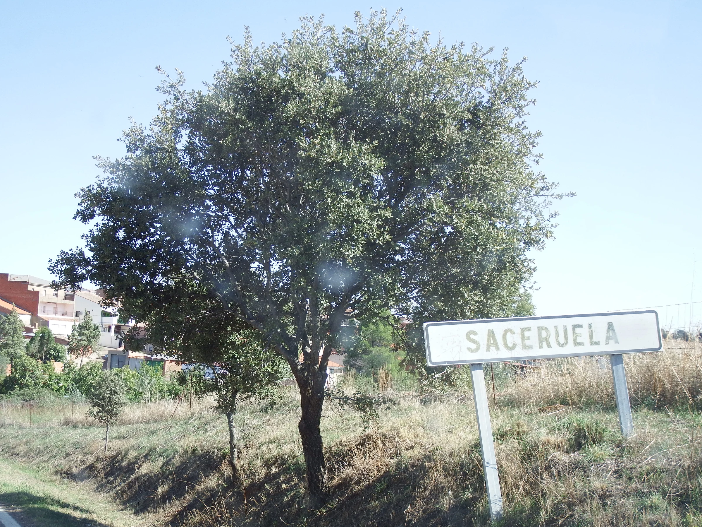 Saceruela en autocaravana (Ciudad Real)