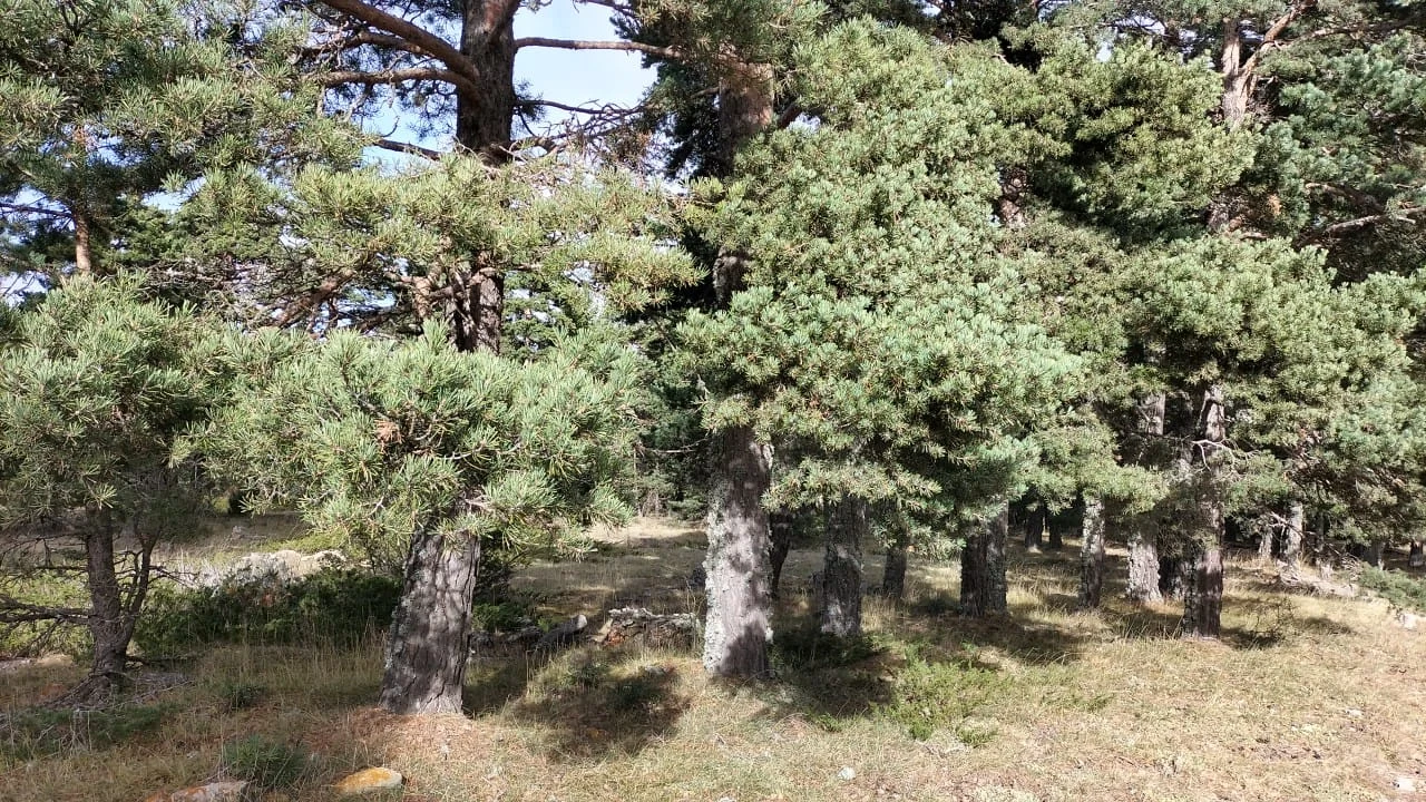 Mosqueruela en autocaravana (Teruel)
