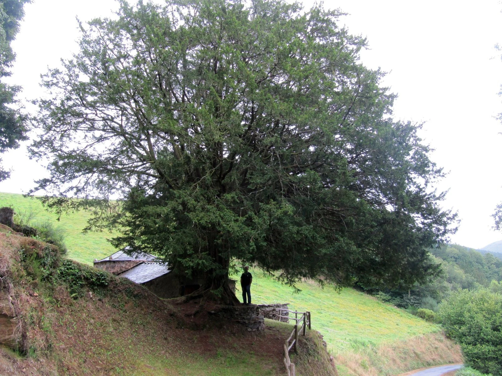 Santa Eulalia de Oscos en autocaravana (Asturias)