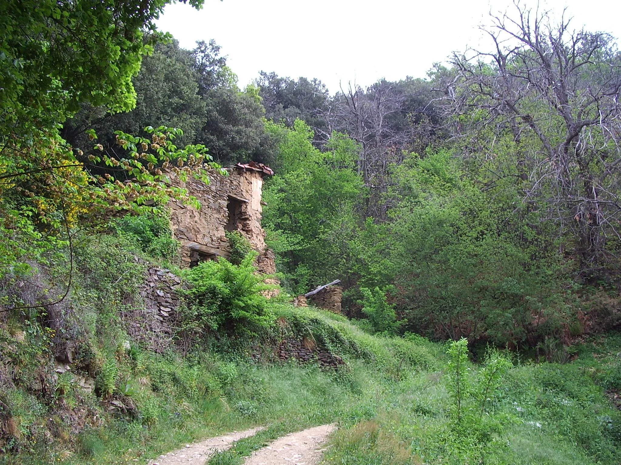 Montseny en autocaravana (Barcelona)