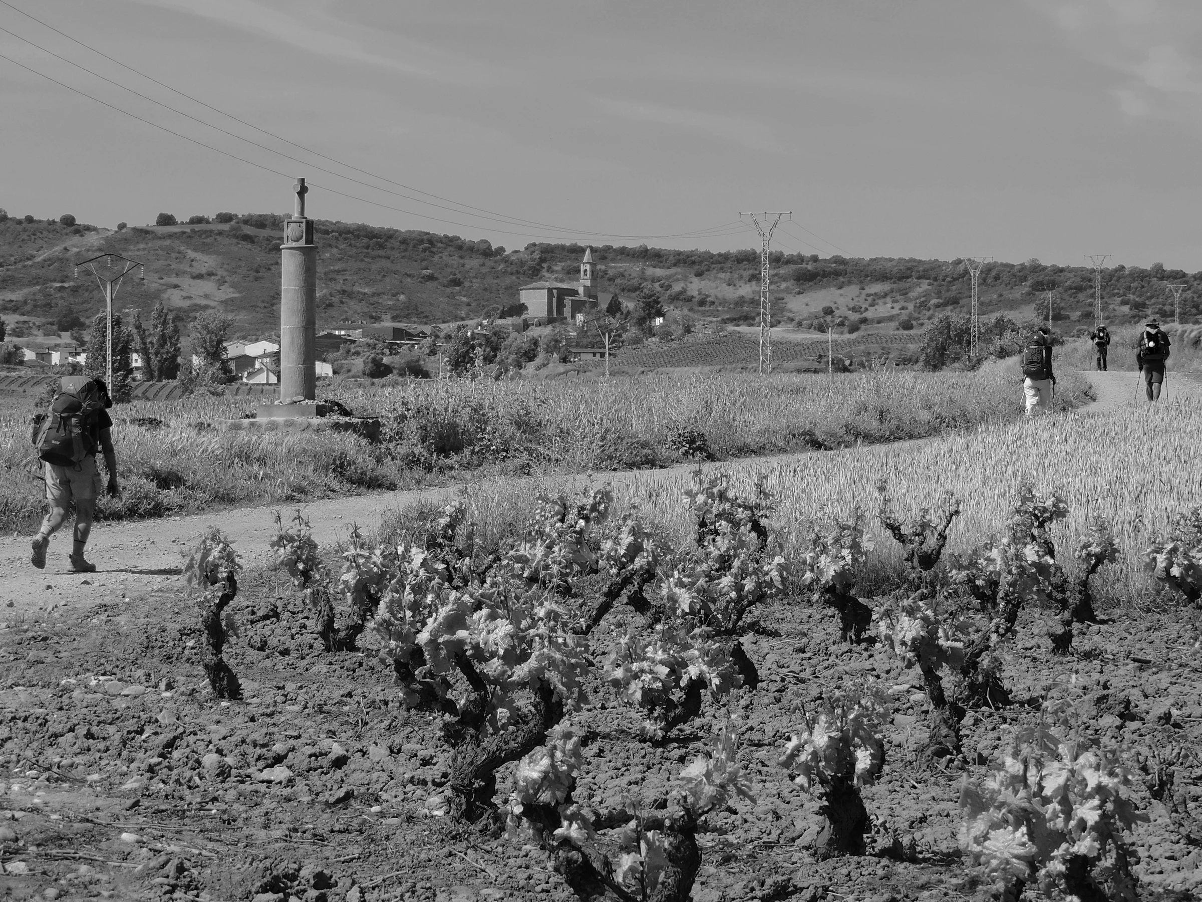 Medrano en autocaravana (La Rioja)