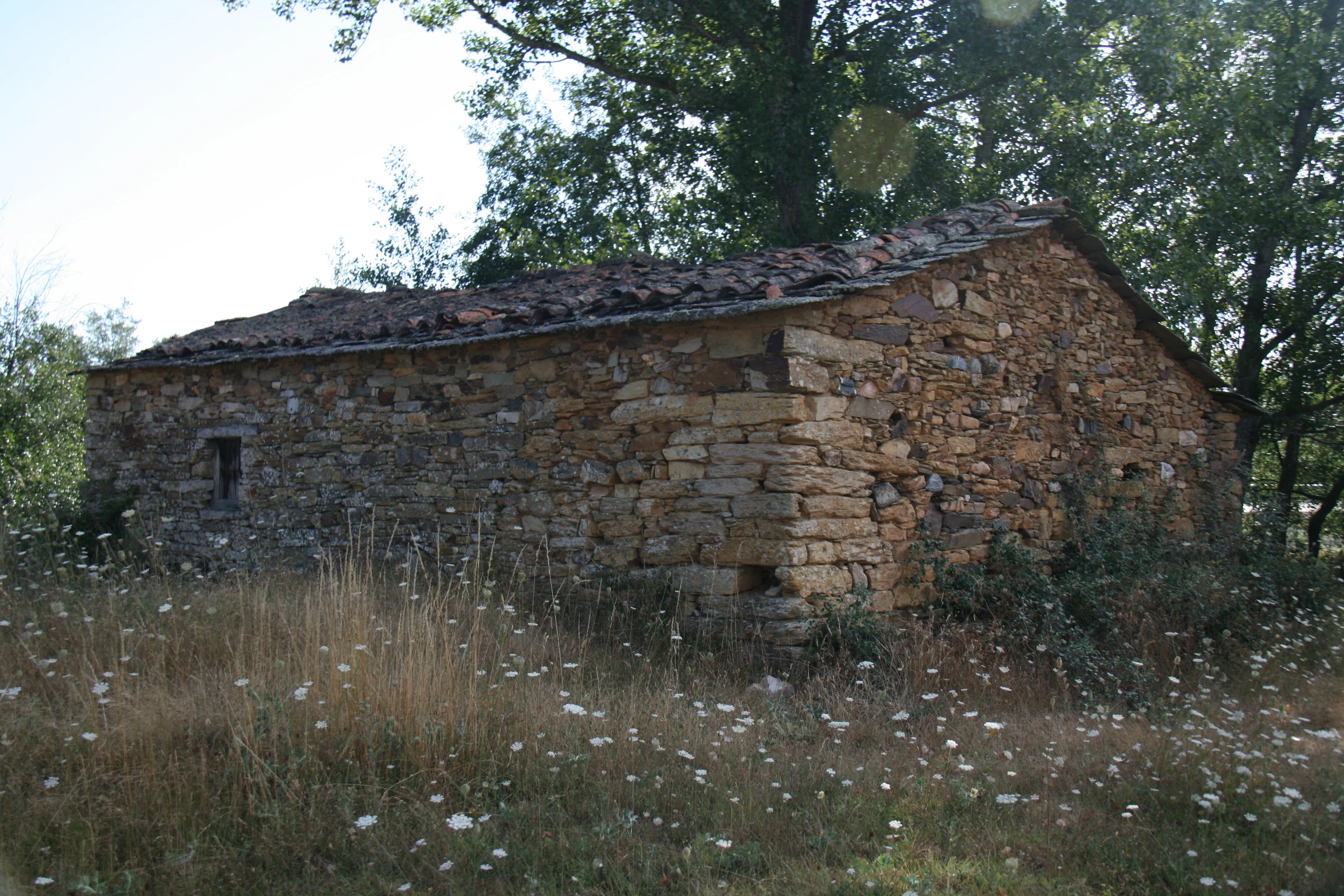 Mahide en autocaravana (Zamora)