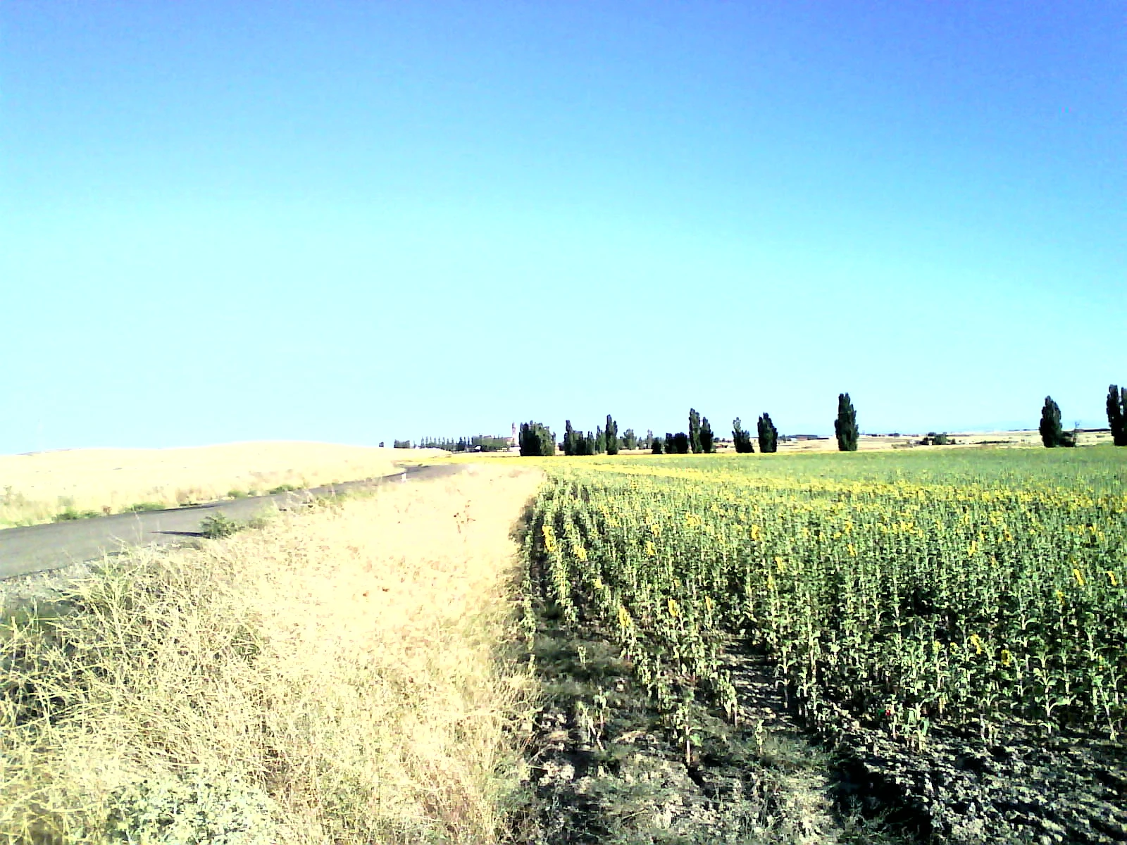 Villaflores en autocaravana (Salamanca)