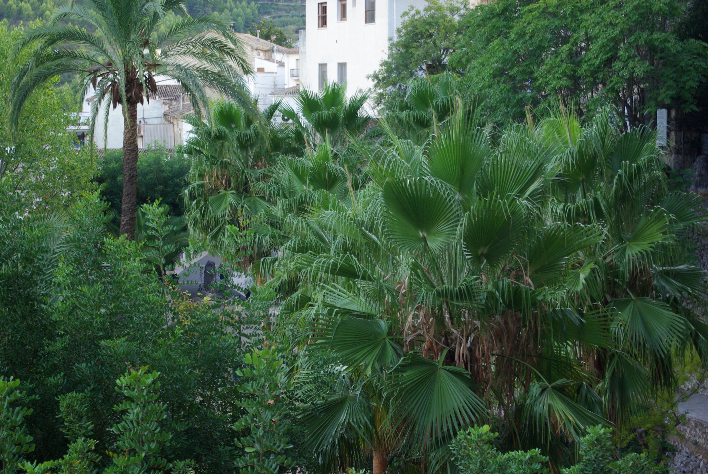 Castell de Guadalest, el en autocaravana (Alicante)
