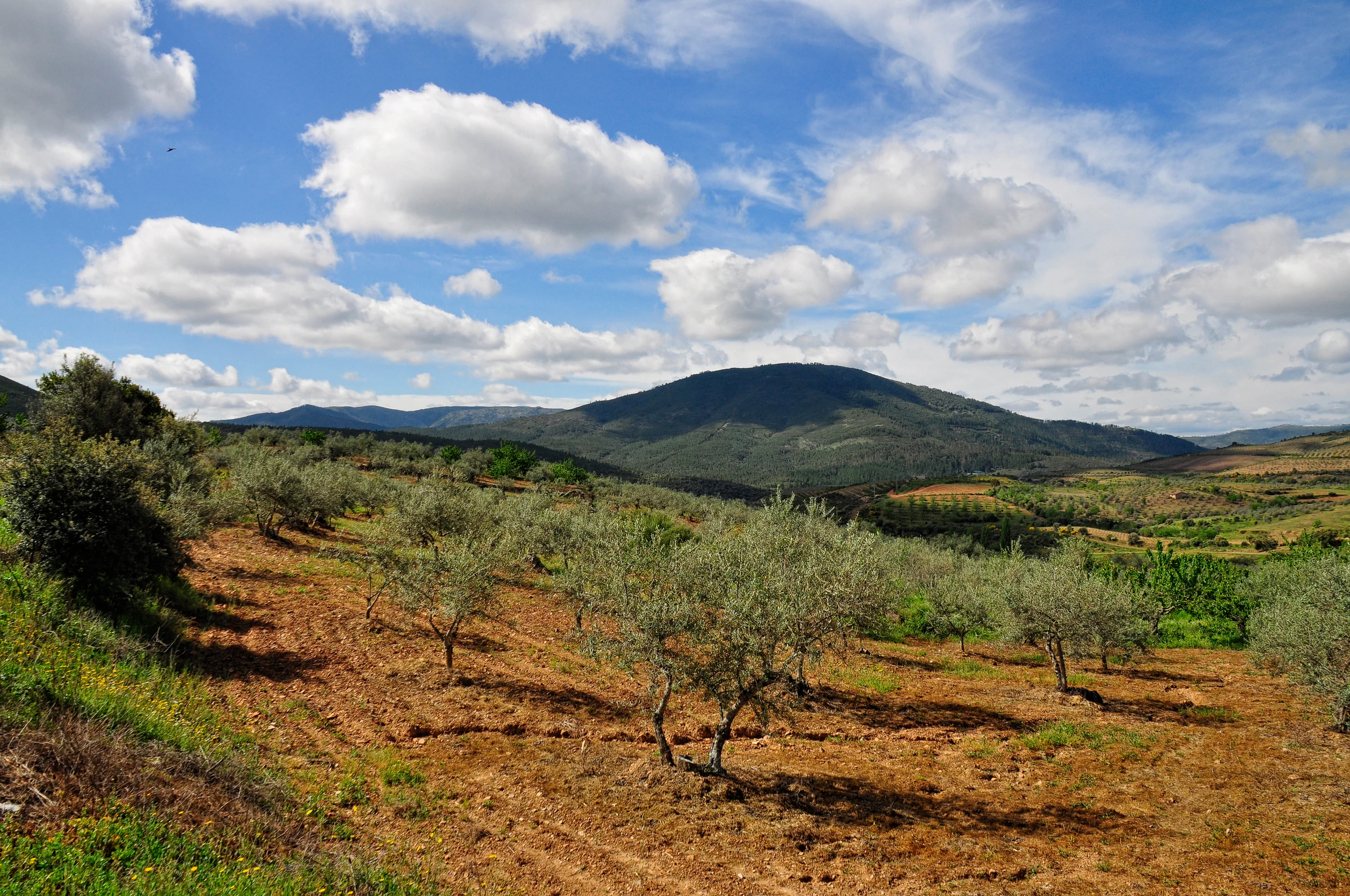Herguijuela de la Sierra en autocaravana (Salamanca)