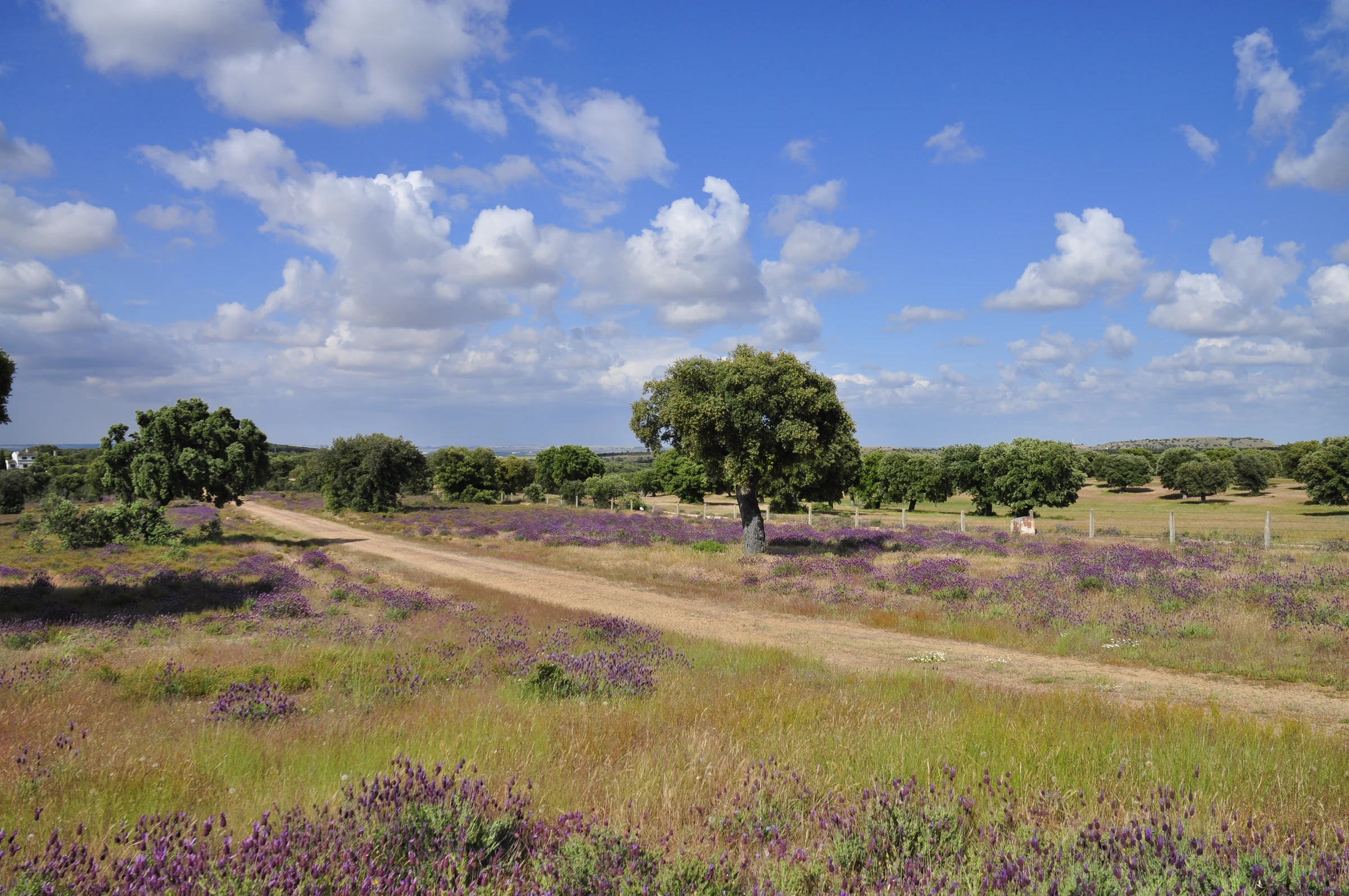 Villagonzalo de Tormes en autocaravana (Salamanca)