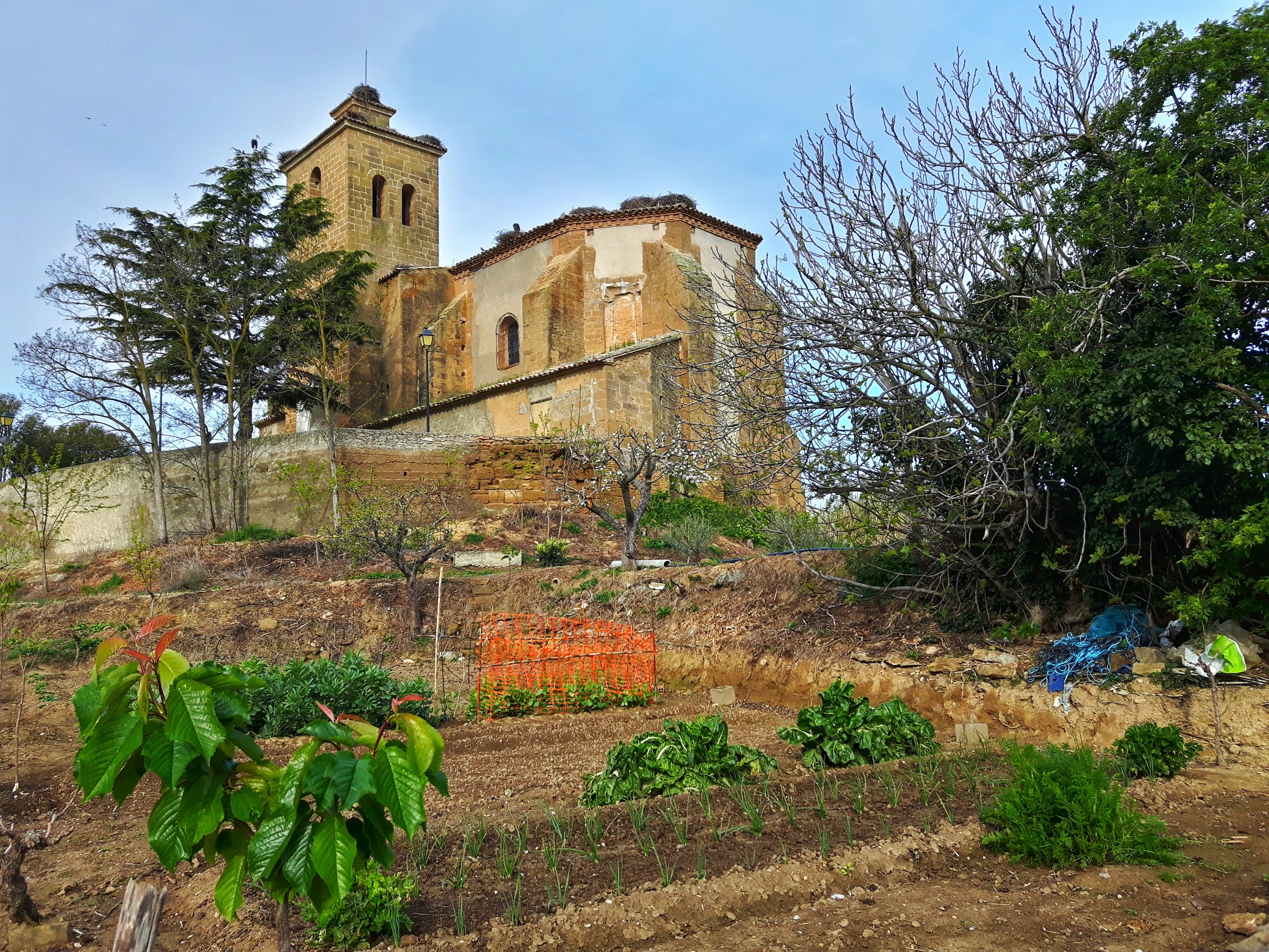 Huerto en autocaravana (Huesca)