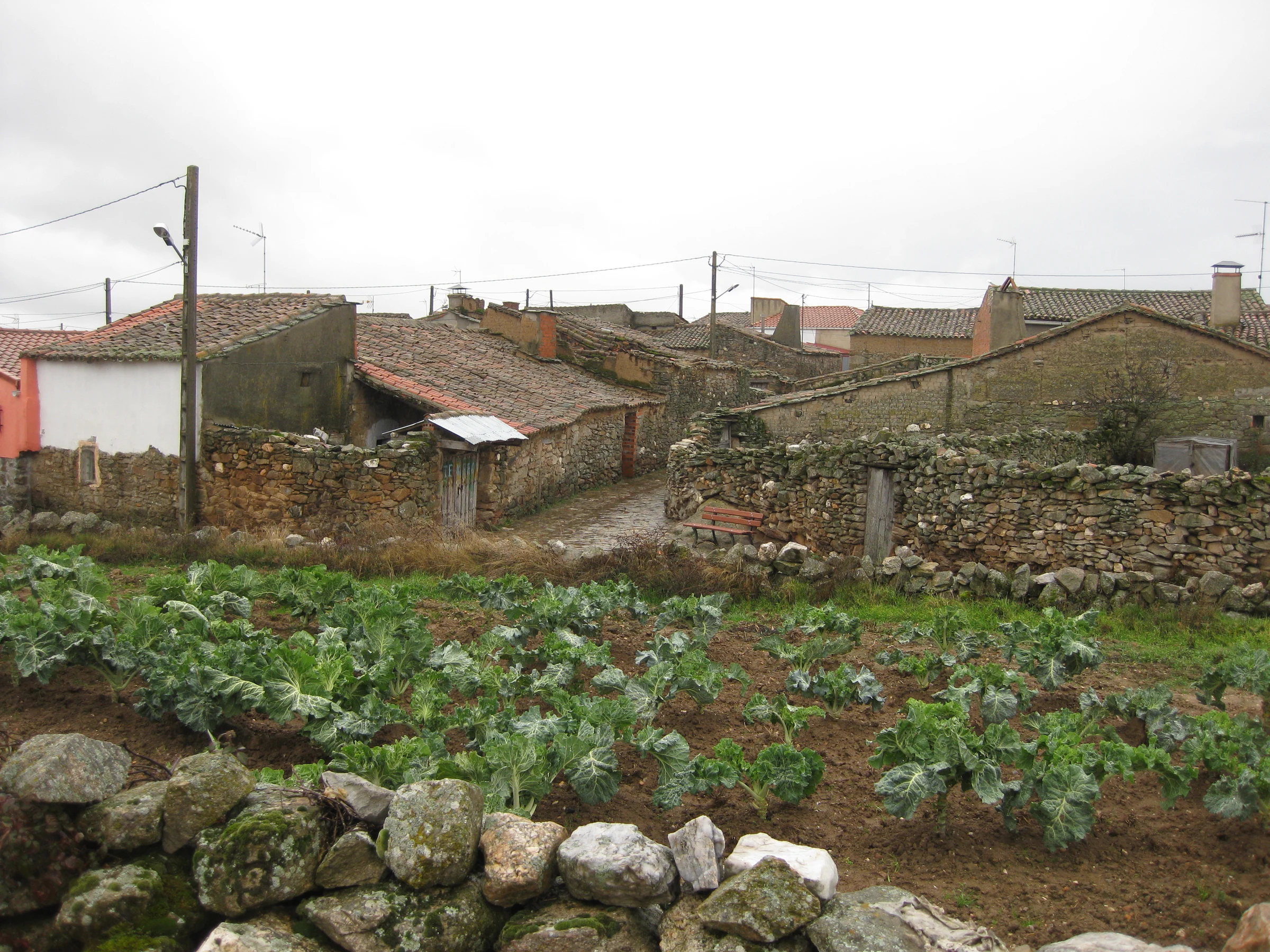 Villaseco del Pan en autocaravana (Zamora)