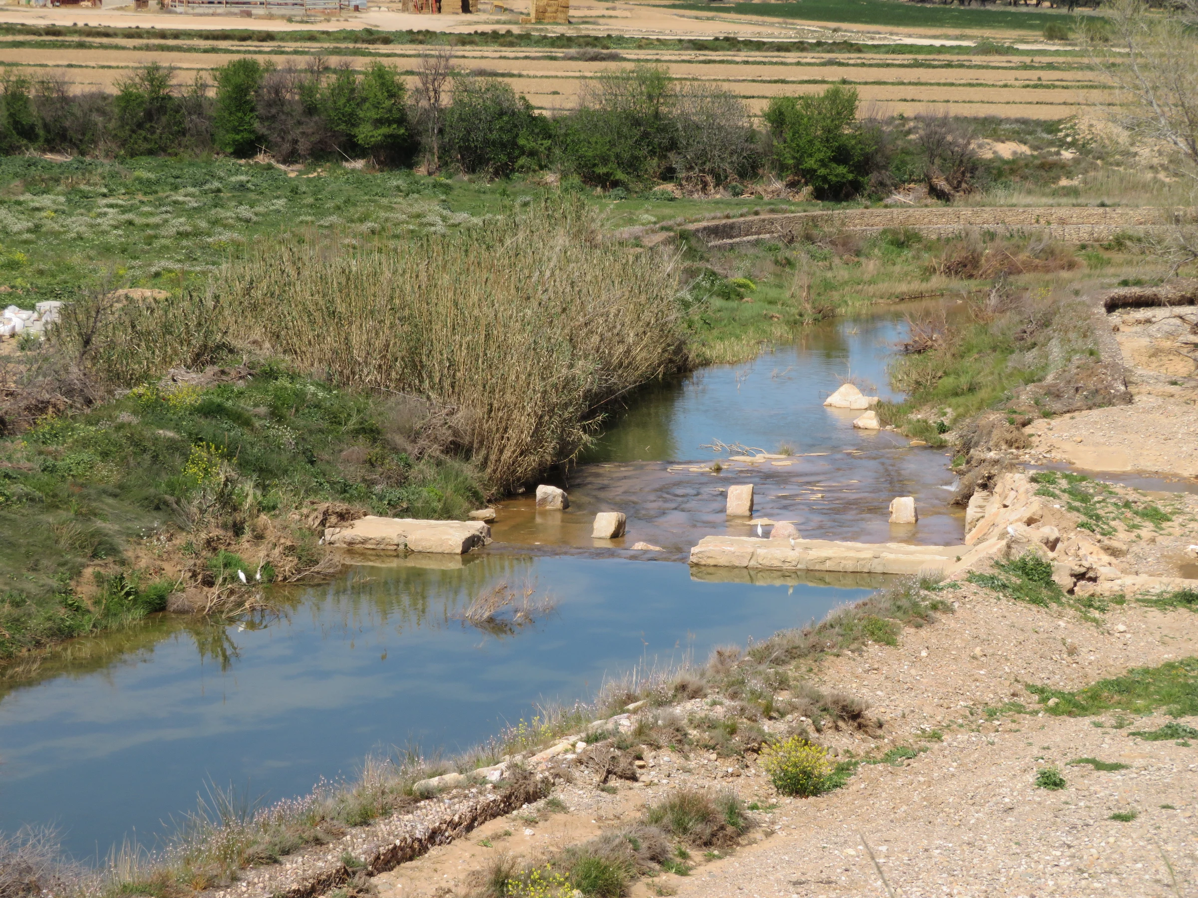 Vinaceite en autocaravana (Teruel)