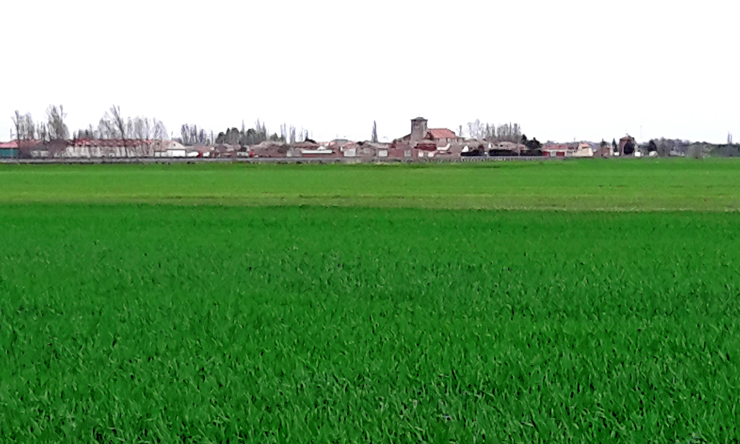 Piña de Campos en autocaravana (Palencia)