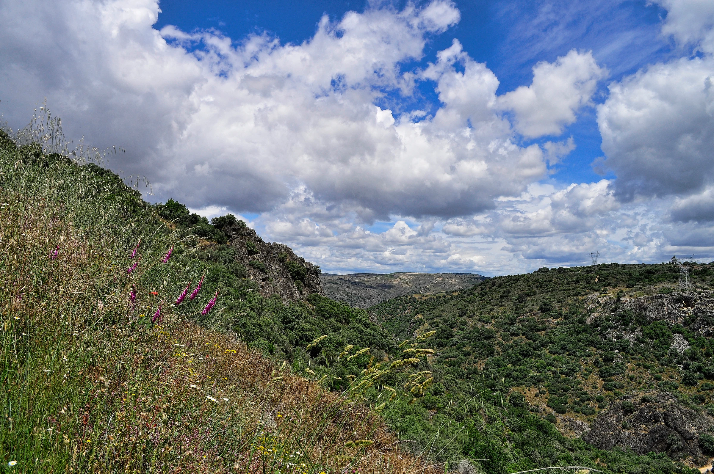 Zarza de Pumareda, La en autocaravana (Salamanca)